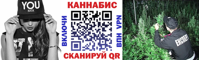 APVP Гатчина