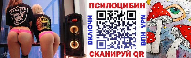 как найти наркотики  Гатчина  Псилоцибиновые грибы ЛСД 