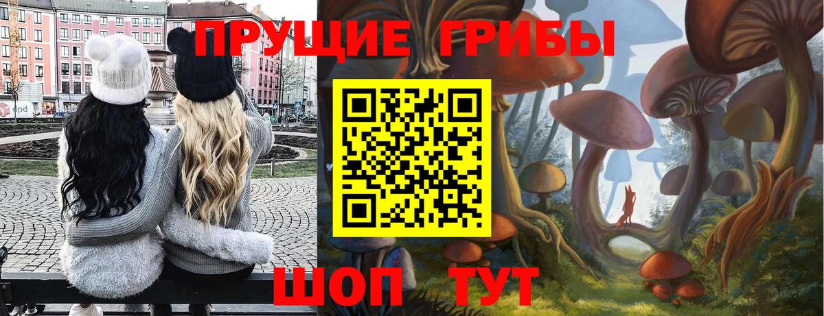 Псилоцибиновые грибы прущие грибы Гатчина